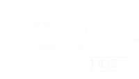 Energy Leadership Index Master Practitioner